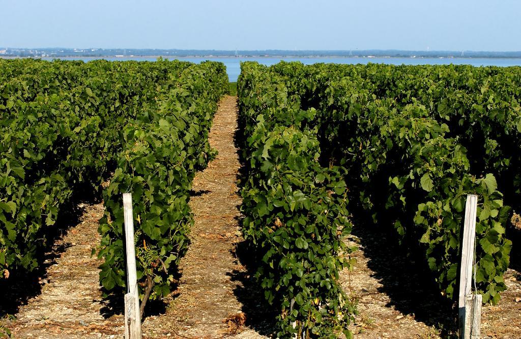 Vvf Soulac-Sur-Mer Bordeaux Medoc Екстериор снимка